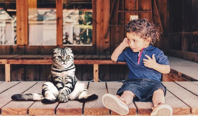 Guide – det skal du huske, når du har både kat og baby i samme hjem